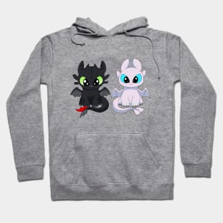 Dragon furies, toothless and light fury, kawaii dragons, how to train dragon Hoodie